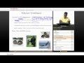 Vertebrate Classification and Features