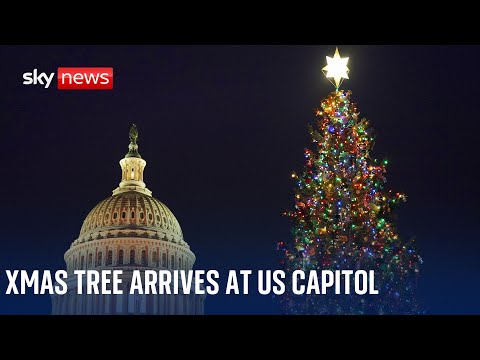 Watch live: Christmas tree arrives at the White House