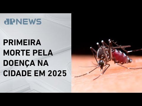 Menina de 11 anos morre por dengue em São Paulo