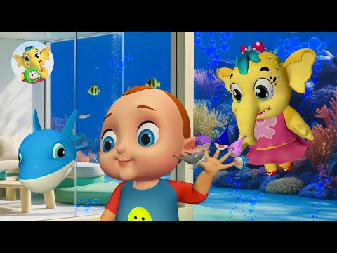 Shark Finger Family Song | Baby Dino Where Are You? More Kids Songs & Nursery Rhymes - BabyToonz TV