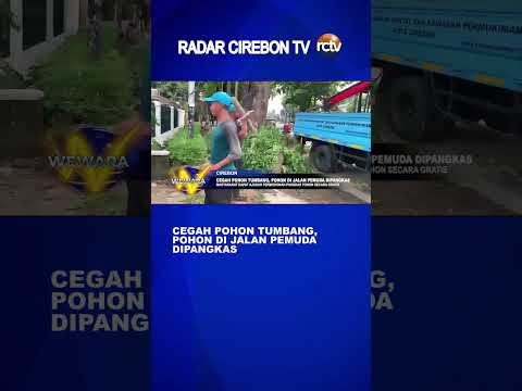 Cegah Pohon Tumbang, Pohon di Jalan Pemuda Dipangkas