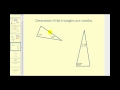 Determining Similarity in Triangles Using AA Criterion