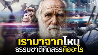สารคดี ชาลส์ ดาร์วิน | ทฤษฎีวิวัฒนาการคืออะไร (อธิบายชีวิตละเอียด)