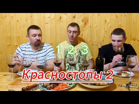 Сыдымо кутымо! часть5/ КРАСНОСТОПЫ 2 /