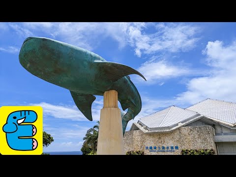 美ら海水族館 展示物 ジンベエザメやチンアナゴなど 沖縄 Churaumi Aquarium Exhibits Okinawa [English Subs]