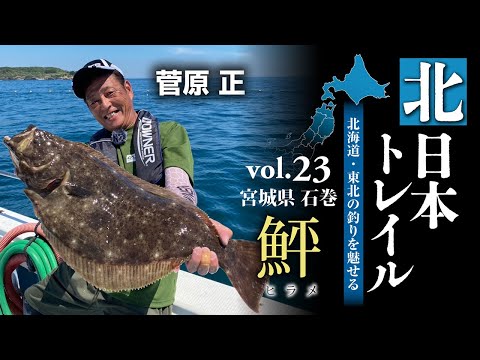 宮城県石巻/鮃（ヒラメ）【北日本トレイルvol.23】