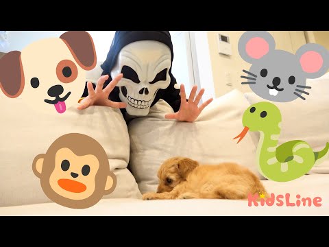 CUTE ANIMALs かわいいどうぶつ🐶🐵🐭🐍 英語のレッスン