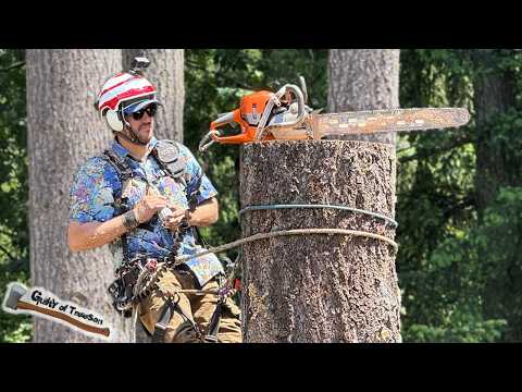 SIX TREES, four guys! Tall fir removal job was harder than expected! - Part 1
