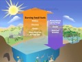 Exploring the Earth's Carbon Cycle and Climate Change