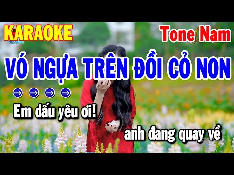 Karaoke Vó Ngựa Trên Đồi Cỏ Non Tone Nam Nhạc Sống Cha Cha Mới | Thanh Hải