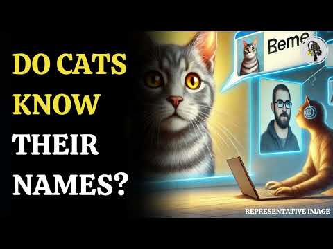 Do Cats Know Their Names? Science Says YES! | WION Podcast