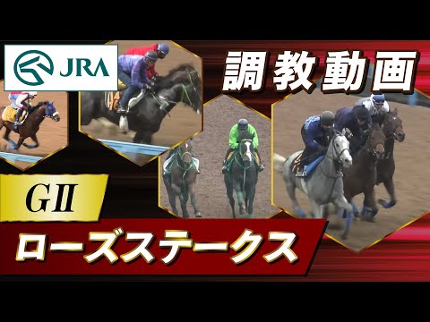hqdefault - 2017年 阪神カップ（GⅡ） | イスラボニータ | JRA公式