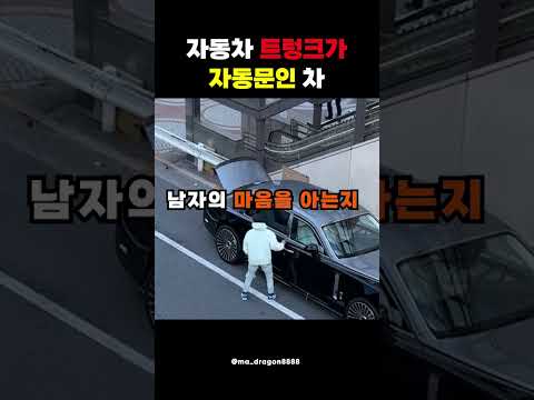 자동차 트렁크가 자동문인 차