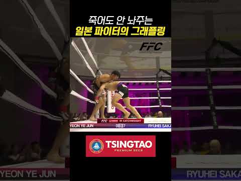 매미같은 일본 파이터의 그래플링