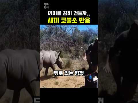 어미를 건들자 뒤로 물러나더니…