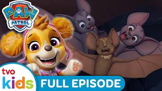 Pups Save a Bat Family 🦇 | 🐶 PAW PATROL ⛑️ | Season 6 | Watch Full Episodes 📺 | TVOkids