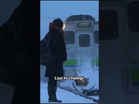 Why is there only one passenger for this train?
