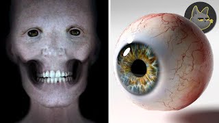 10 Misterios Sobre El Cuerpo Humano