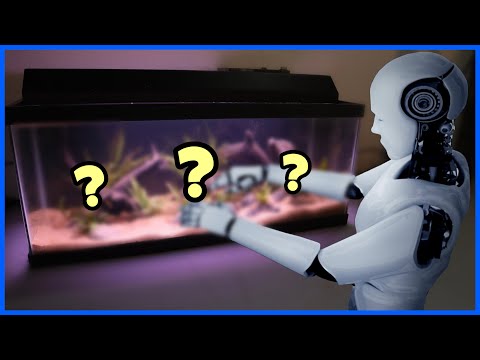 Using AI To Build My Aquarium... In this video, I use Snapchat My AI to set up a 20 gallon aquarium! Thanks for watching, & be sure t
