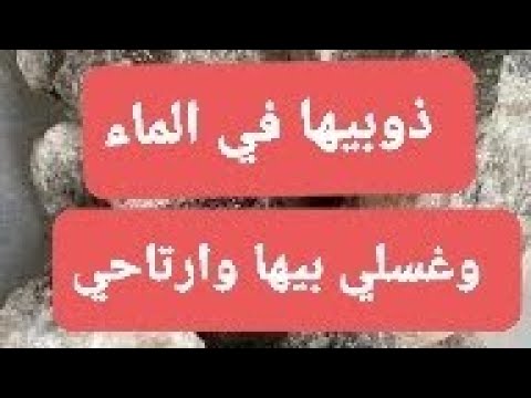 تشليلة الملحة الحية للعكوسات والعين الحارة