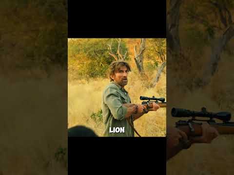 He Risked His Life to Save an Injured Lioness 🦁 #shorts