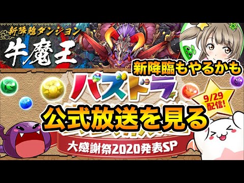 【生放送】パズドラ公式放送を見る！牛魔王もやるかも！【スー☆パズドラ】