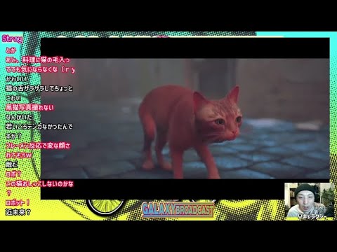 猫になってサイバーシティを巡るゲーム『Stray』実況プレイ／01