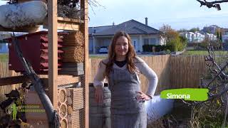 DIY Bau eines Lebensturms
