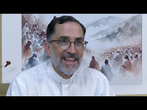 Reflexión del evangelio: Domingo 6 de julio 2025. (XIV tiempo ordinario). P. Gonzalo Guzmán Karadima