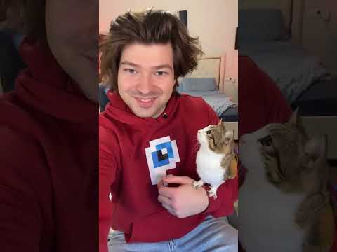 Мяул милаша настоящий 🥰