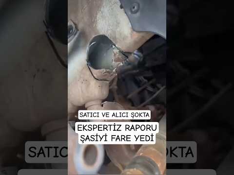 Ekspertiz Raporu Şasiyi Fare Kemirdi?