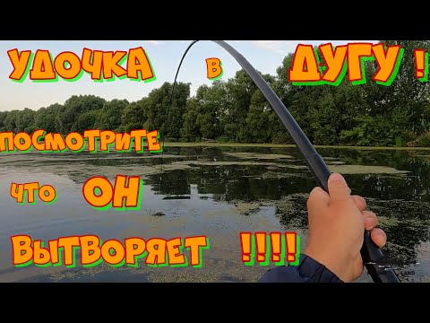 Ловля САЗАНА по РОЙКАМ ! Рыбалка летом на БОКОВОЙ КИВОК .