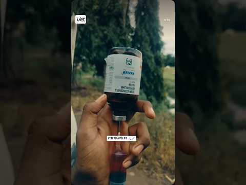 animal tretment !1 animal doctor !1 animal #animals