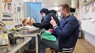 видео