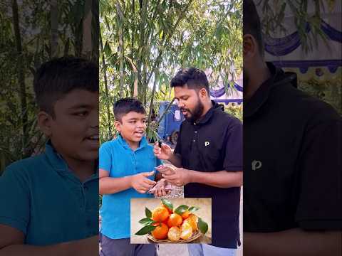 যত ফলের নাম তত টাকা। #ফল #bdfruits #bdfoods