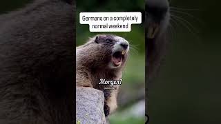Deutsche an einem ganz normalen Wochenende…