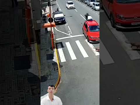 Chú chó qua đường bất ngờ - The dog crossed the road unexpectedly #viral #satisfying #funny