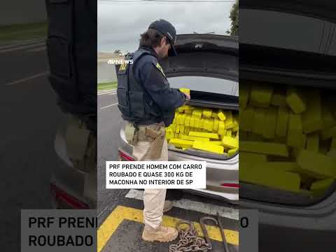 PRF prende homem com carro roubado e quase 300 kg de maconha no interior de SP #shorts