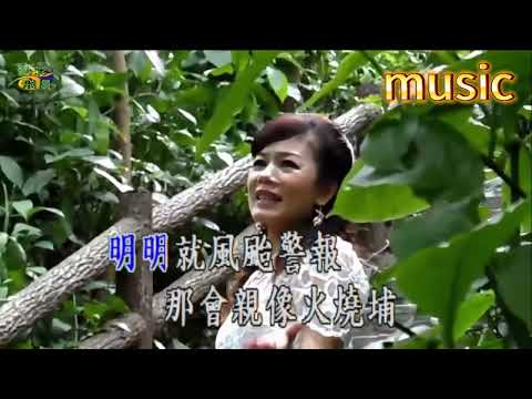 人生的過渡 (台語) 小龍女-KTV 伴奏 no vocal 無人聲 music 純音樂 karaoke 卡拉OK 伴唱人生的過渡 (台語) 小龍女-