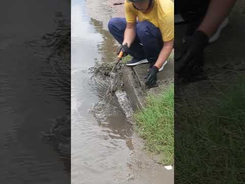 A Dead Culvert Unclog