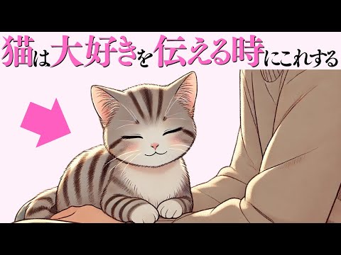 猫の動画サムネイル - 【猫が飼い主に大好きを伝える時にする行動】 猫の雑学 #猫 #ねこ