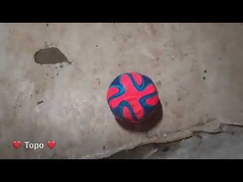 click to play the video