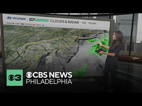 Another humid day with pop-up storms, showers expected in evening | NEXT Weather