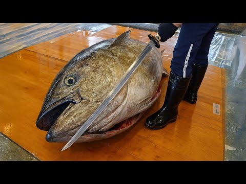 Cutting the World’s Most Expensive Tuna | Insane Otoro & Akami Quality!