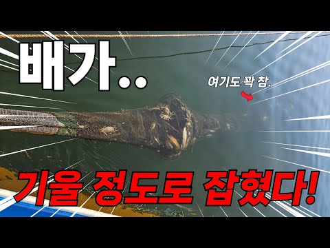 역대급입니다! 고기가 너무 많이 잡혀서 배가 침몰하겠어요! 고기가 500kg..