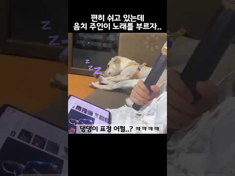 음치 주인이 노래를 부르자 댕댕이 반응