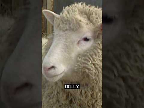 30 Years Since the Cloning of Dolly the Sheep