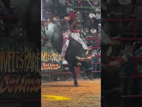 SU PAPÁ ENTRO A SALVARLO ??