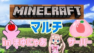 【Minecraft】マイクラJava版マルチ作業放送 in まゆにゃあサーバー【さっかー】