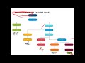 Classification and Dichotomous Keys